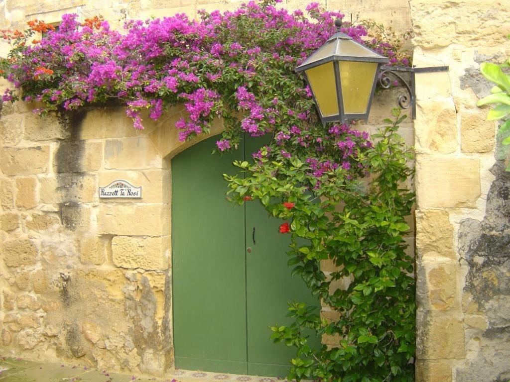 "Steves Villas" Villa Ta Rosi Xagħra Szoba fotó