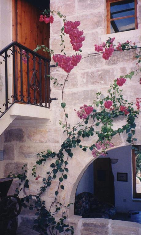 "Steves Villas" Villa Ta Rosi Xagħra Kültér fotó
